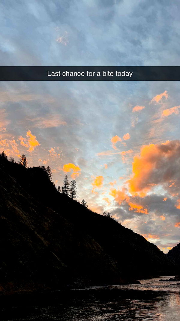 realhaylujan image ~ Altpins