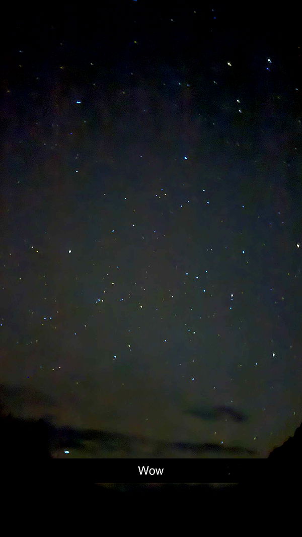 realhaylujan image ~ Altpins