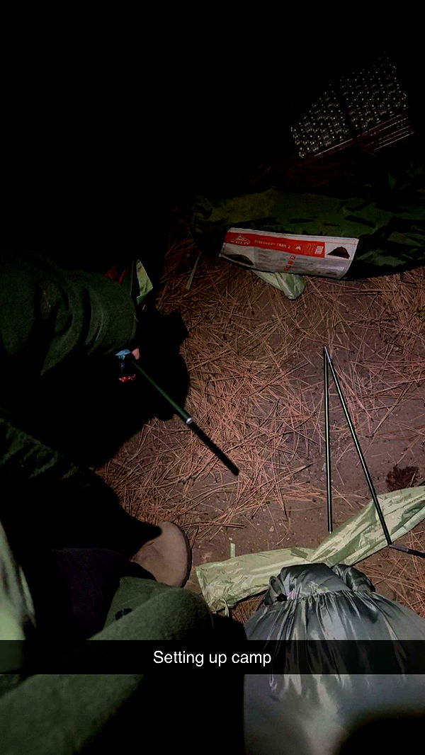 realhaylujan image ~ Altpins