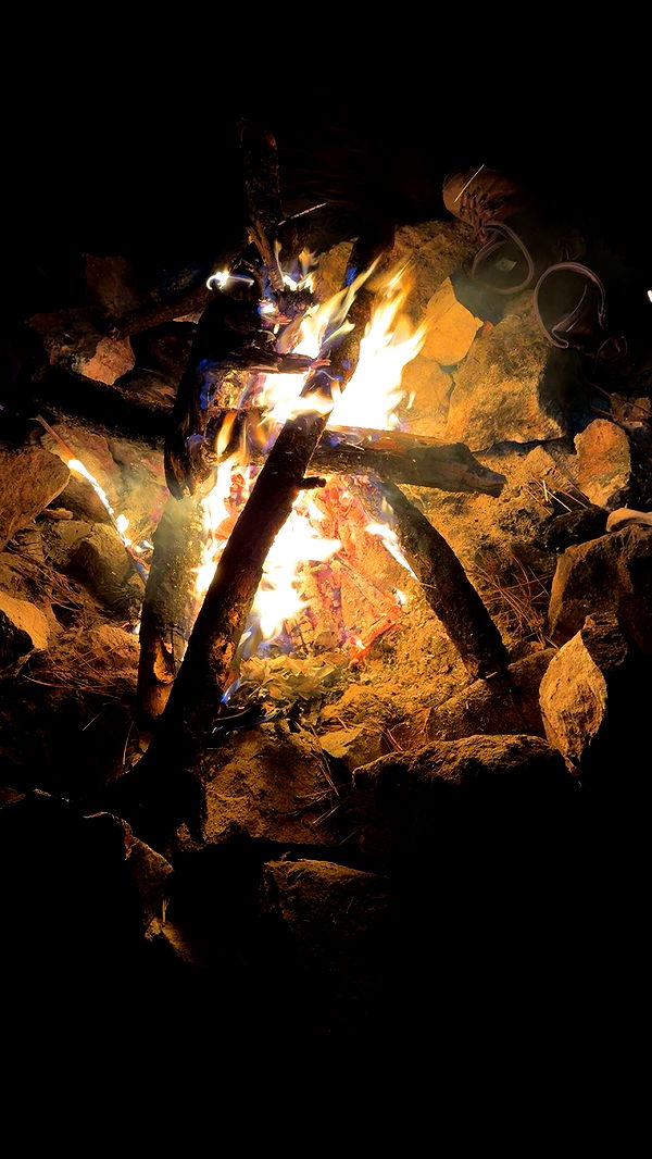 realhaylujan image ~ Altpins