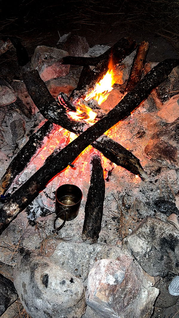 realhaylujan image ~ Altpins