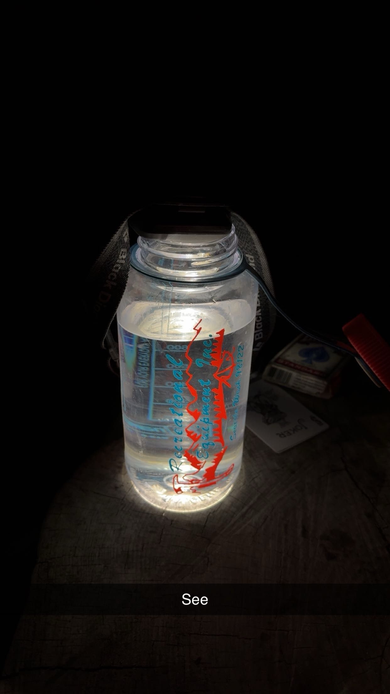 realhaylujan snapchat image archive image