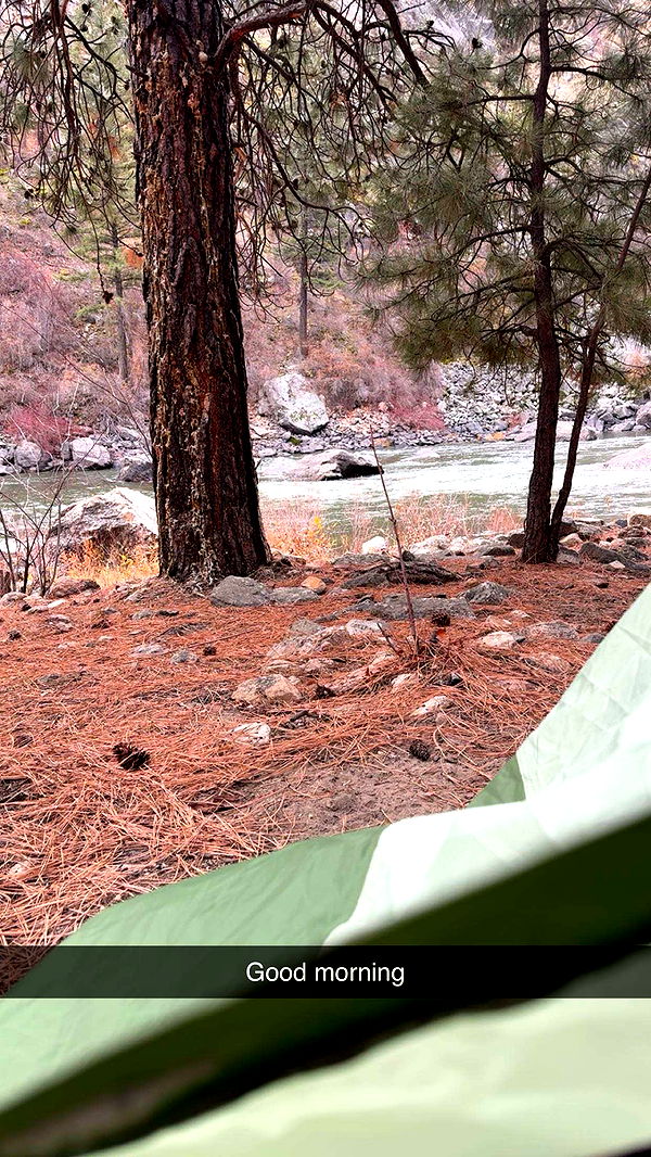 realhaylujan image ~ Altpins