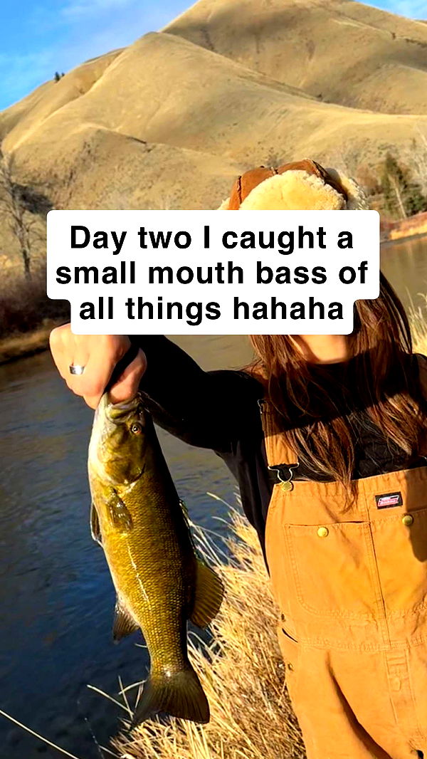 realhaylujan image ~ Altpins