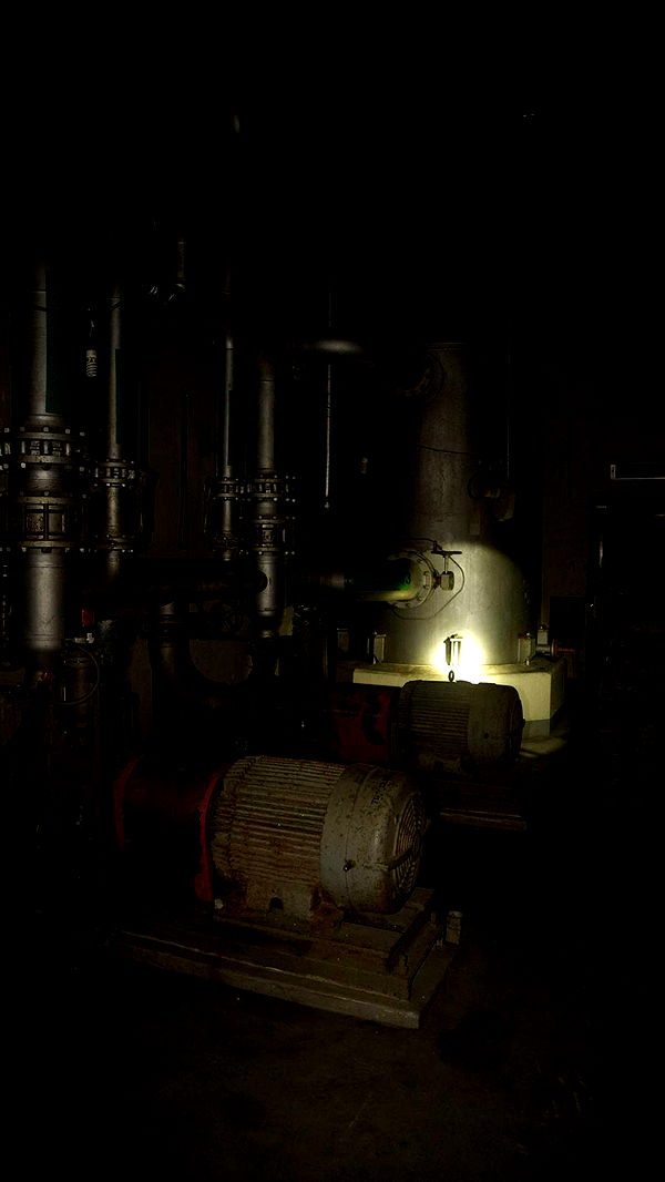 realhaylujan image ~ Altpins