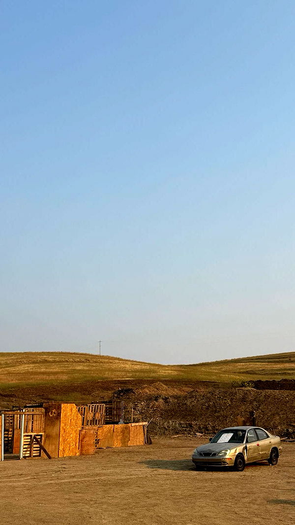 realhaylujan image ~ Altpins