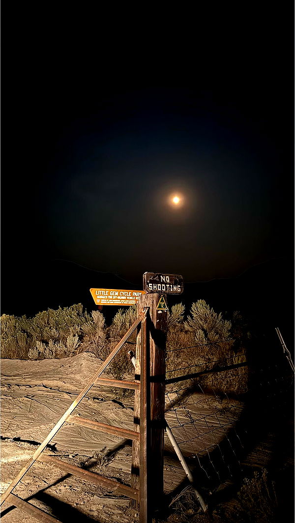 realhaylujan image ~ Altpins