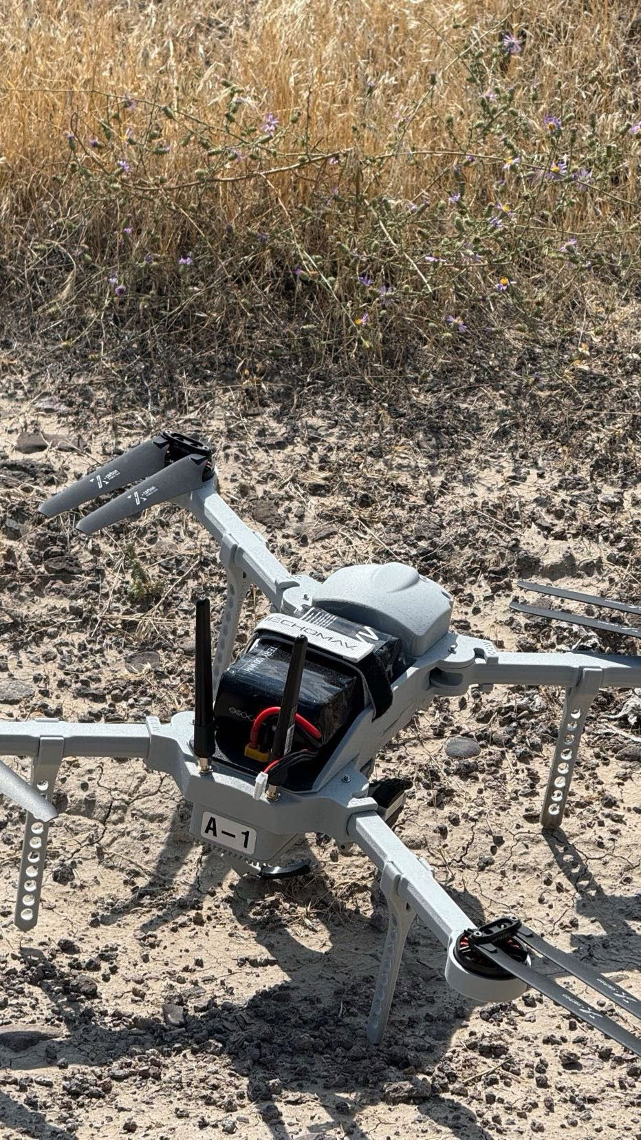 realhaylujan snapchat image archive image