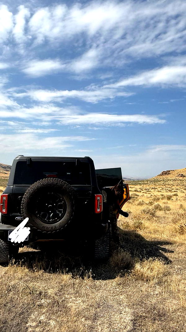 realhaylujan image ~ Altpins