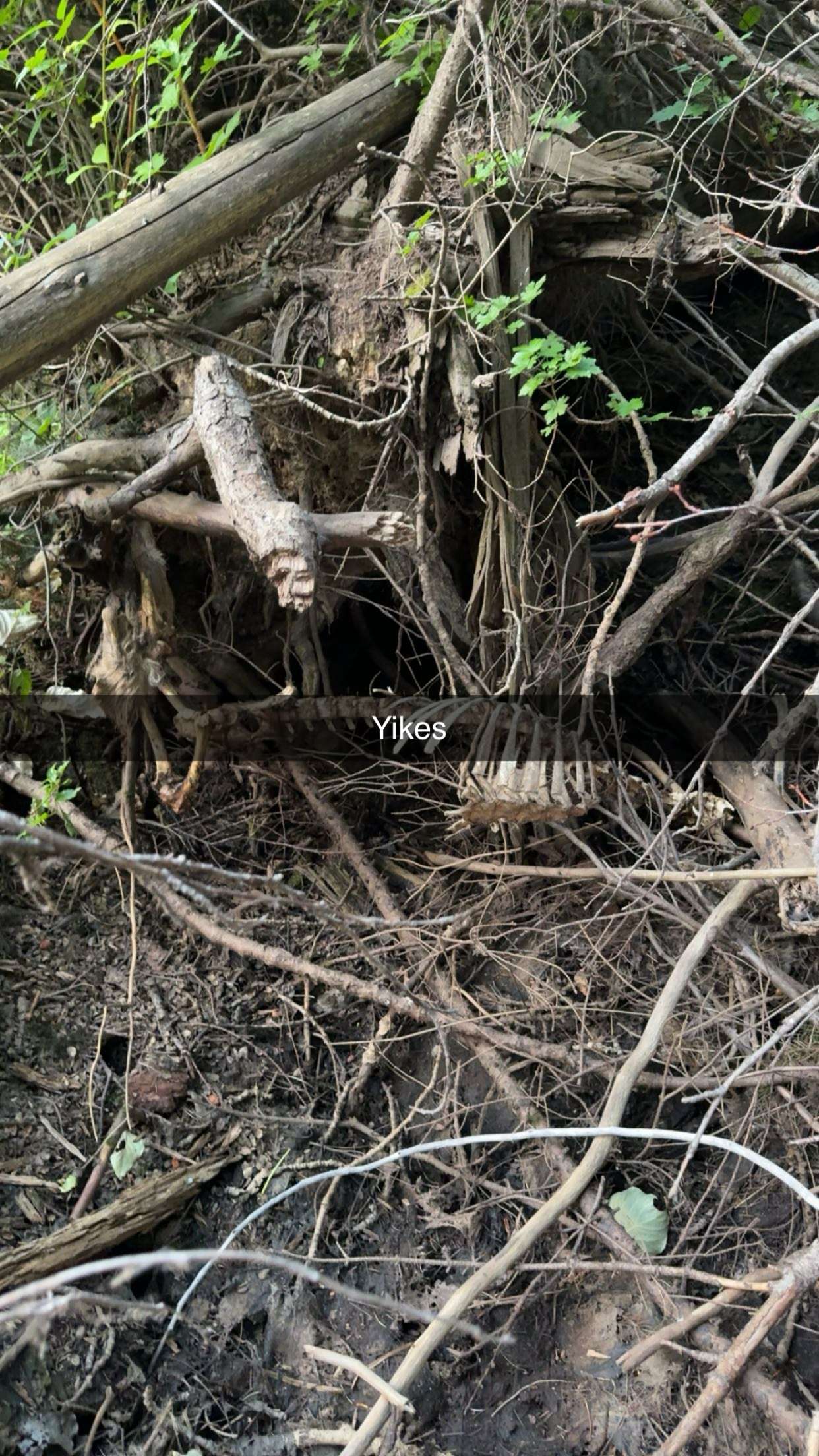 realhaylujan snapchat image archive image