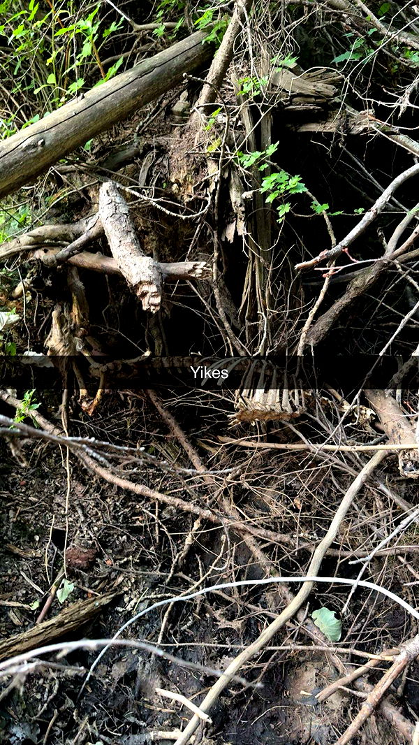 realhaylujan image ~ Altpins