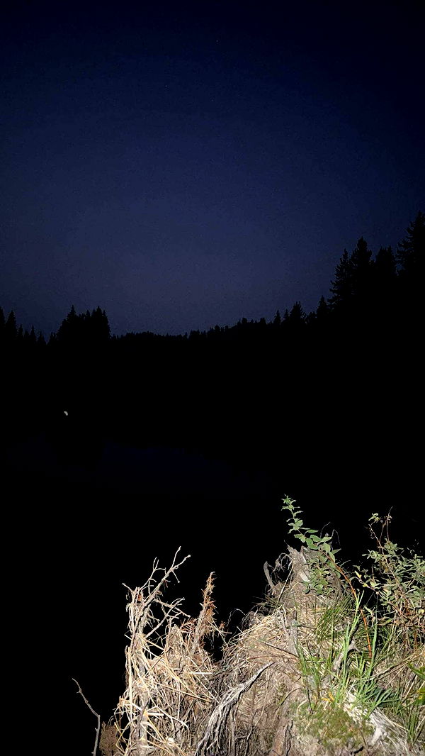 realhaylujan image ~ Altpins