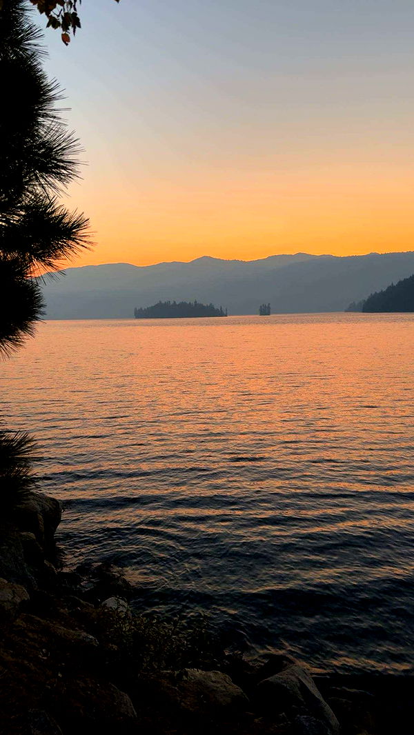 realhaylujan image ~ Altpins