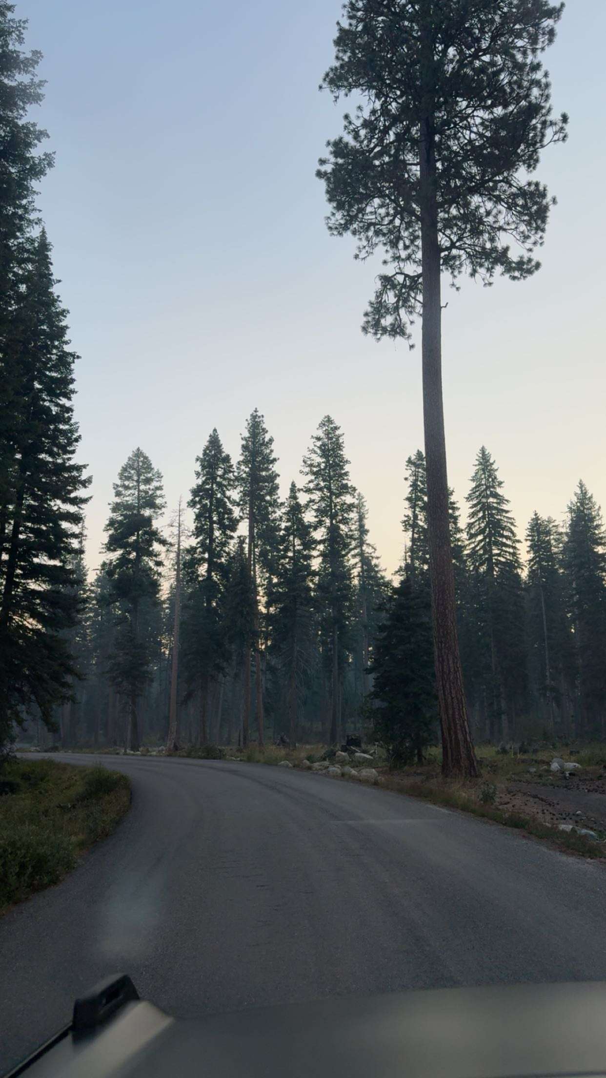 realhaylujan snapchat image archive image