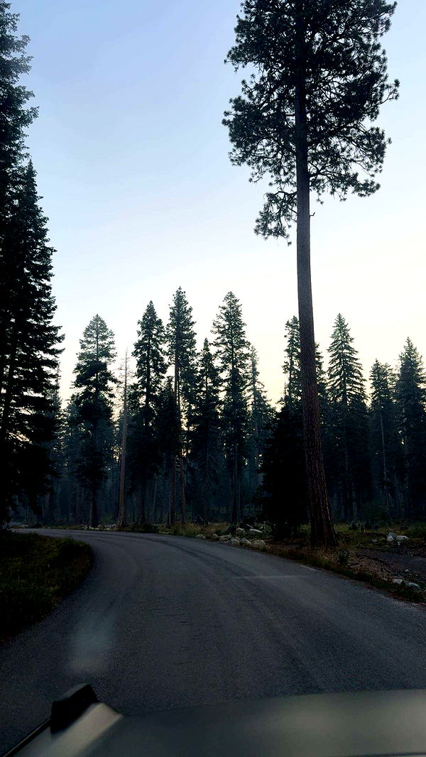 realhaylujan image ~ Altpins