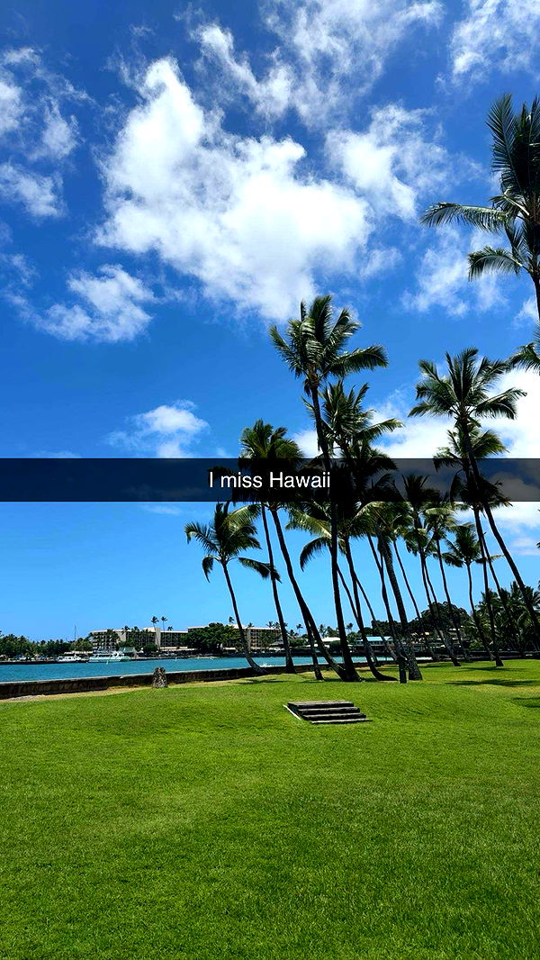 realhaylujan image ~ Altpins