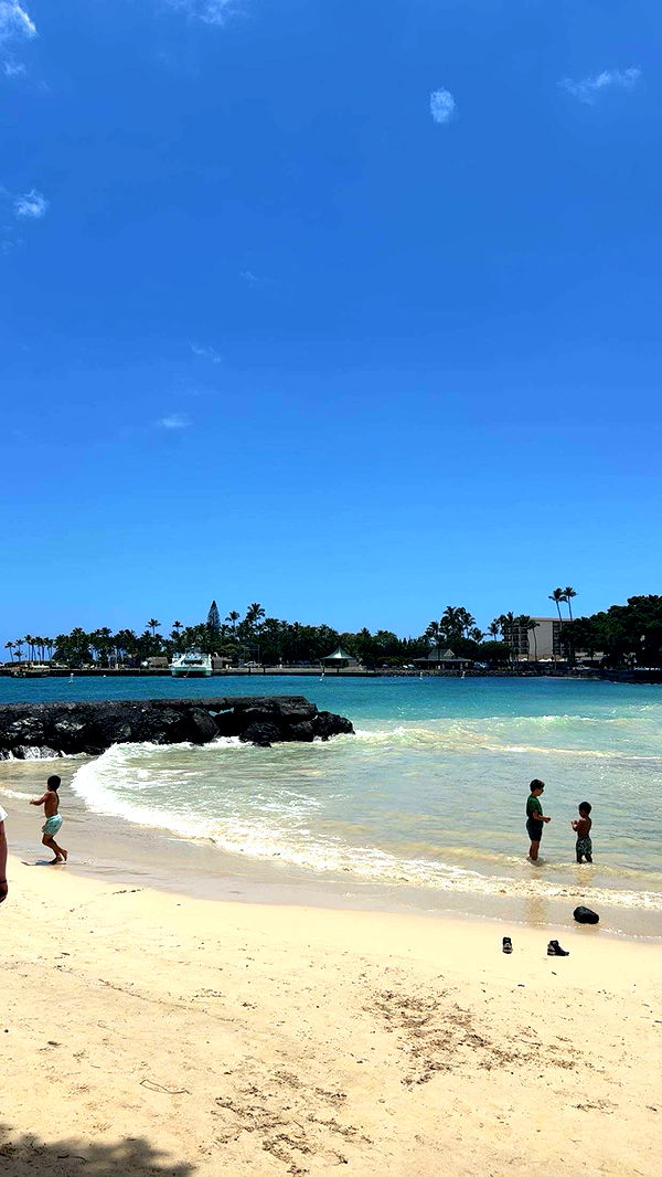 realhaylujan image ~ Altpins