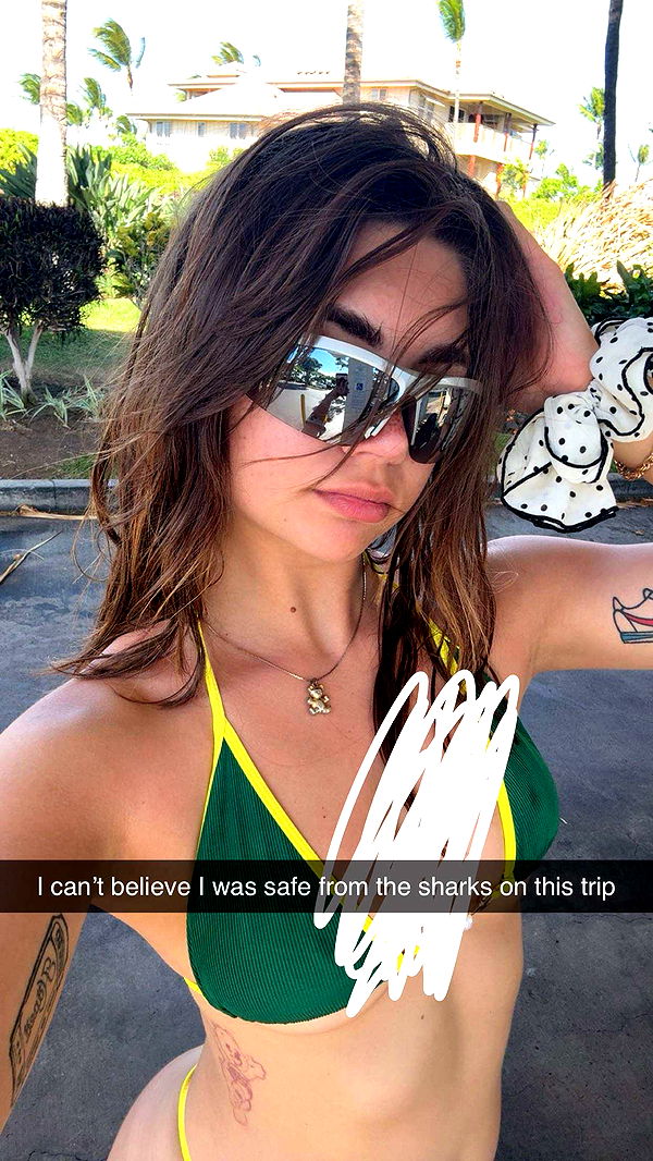 realhaylujan image ~ Altpins