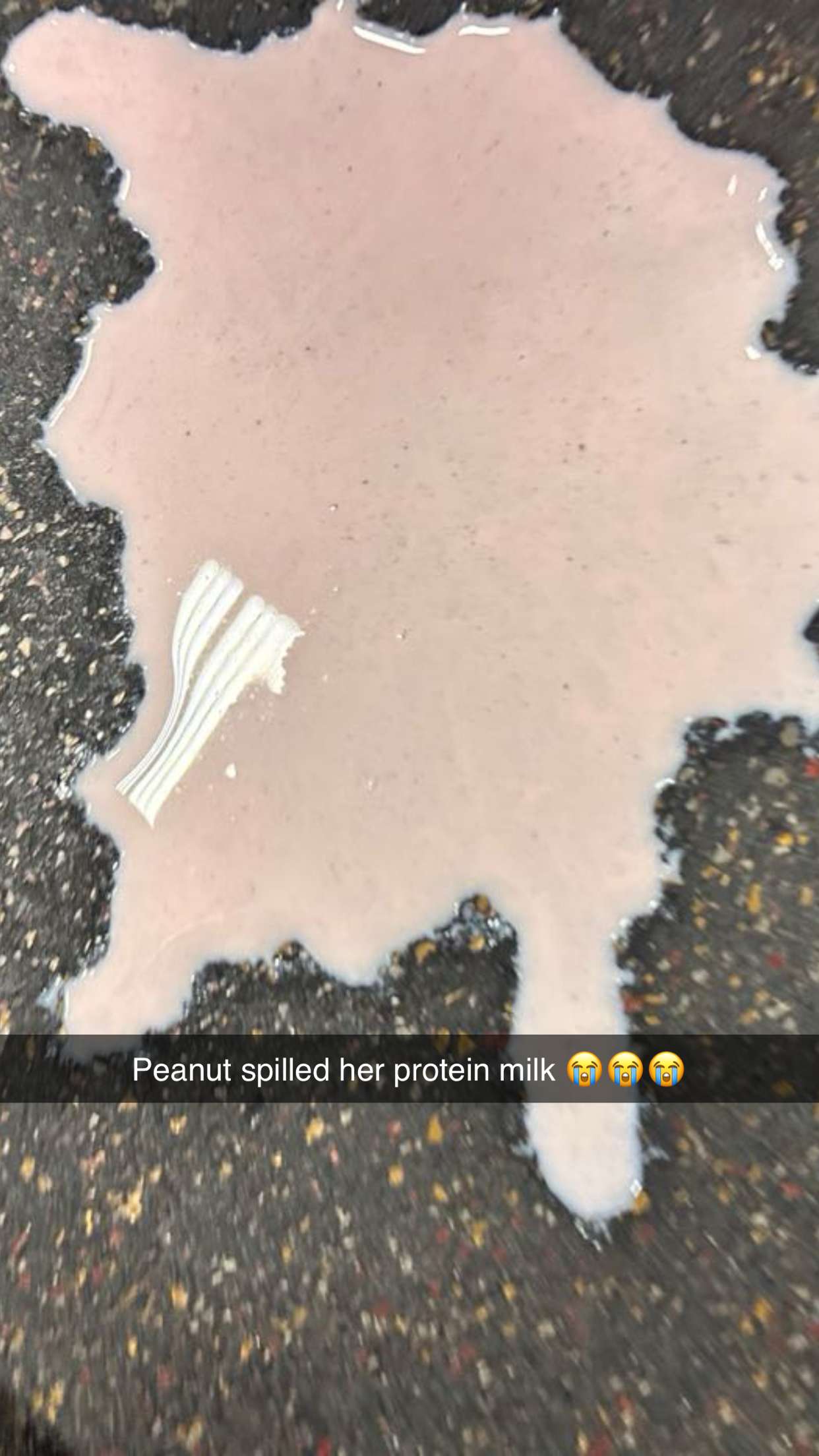 realhaylujan snapchat image archive image