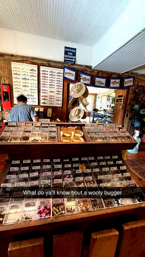 realhaylujan image ~ Altpins