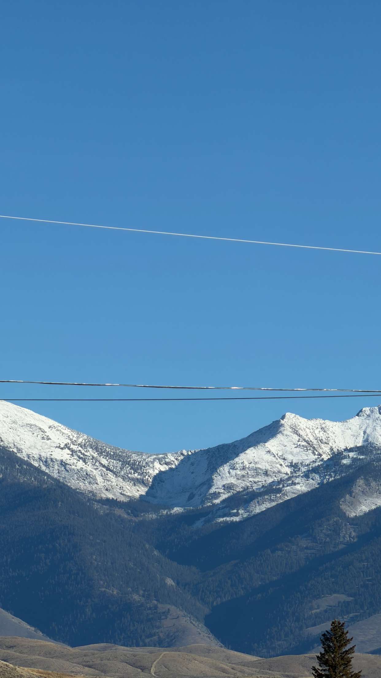 realhaylujan snapchat image archive image