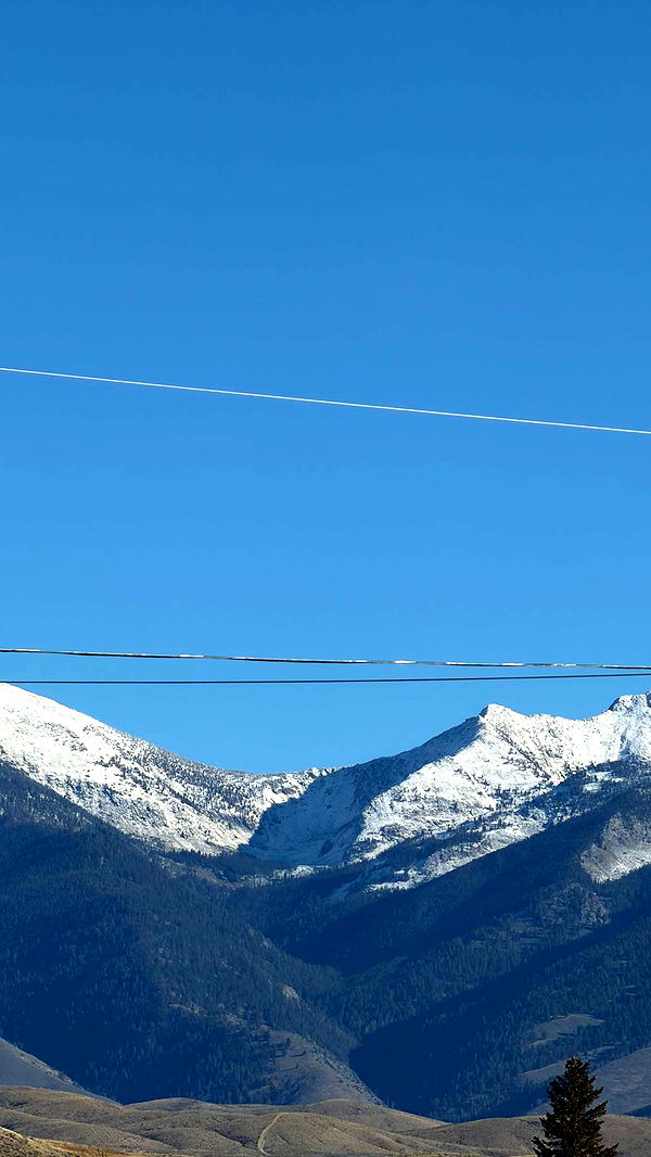 realhaylujan image ~ Altpins