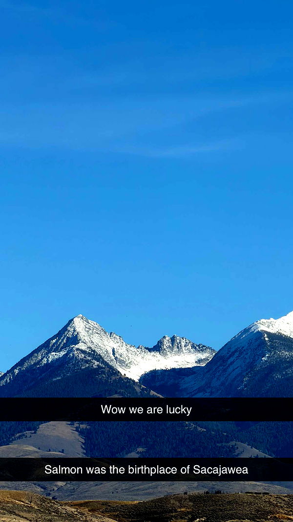 realhaylujan image ~ Altpins