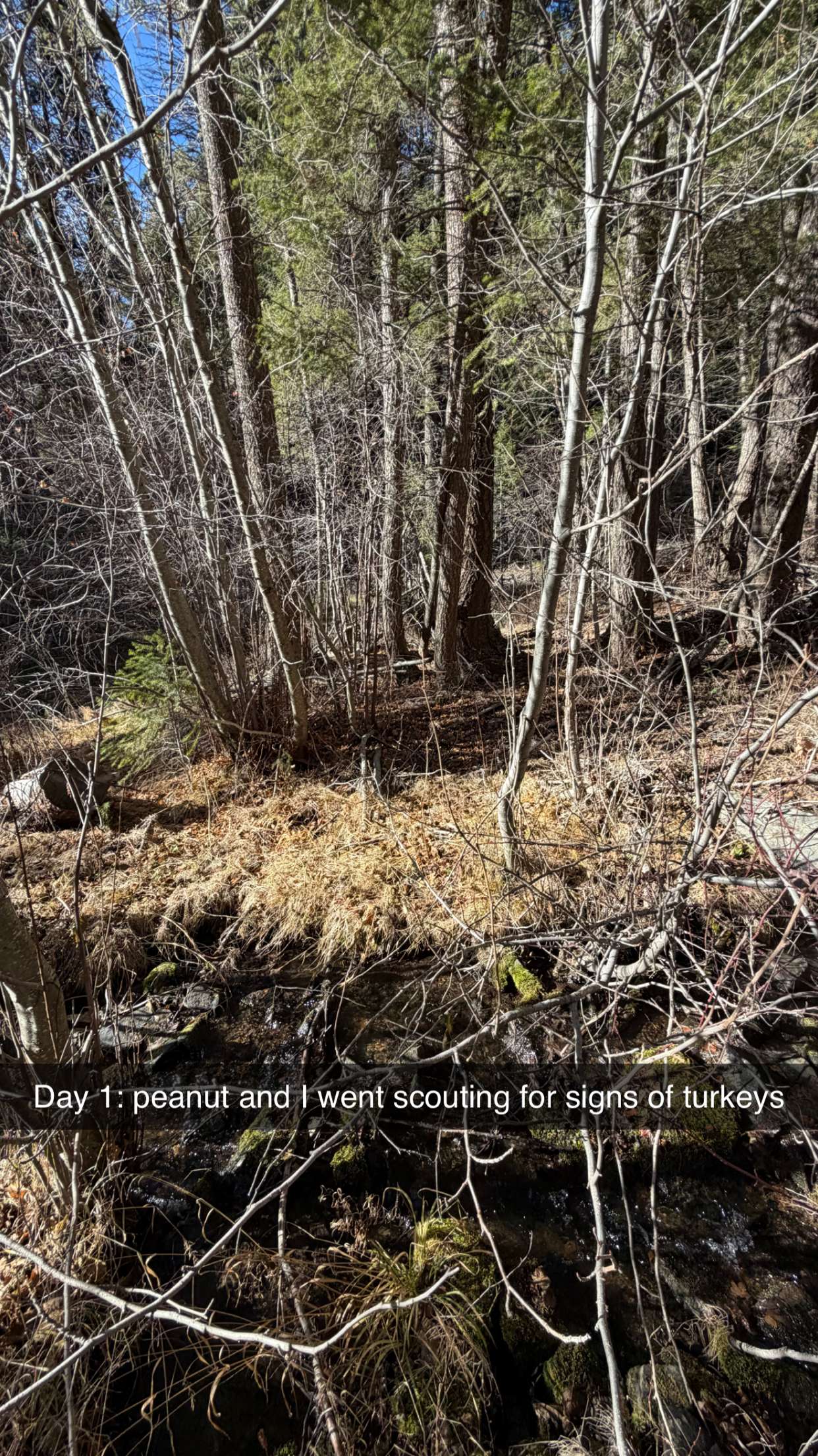 realhaylujan snapchat image archive image