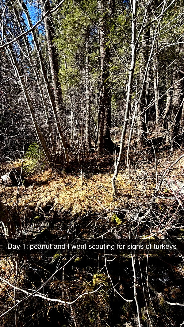 realhaylujan image ~ Altpins