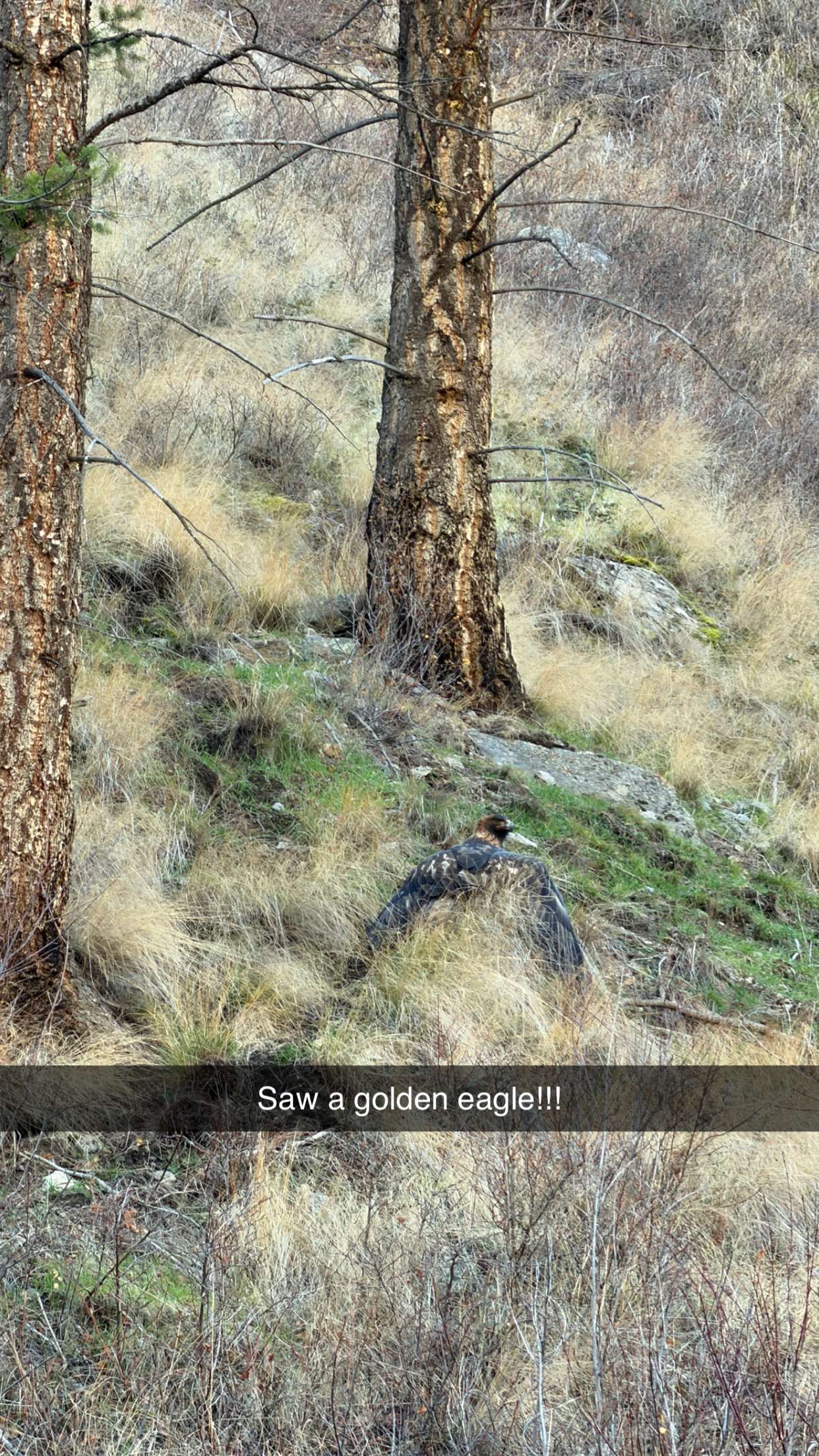 realhaylujan snapchat image archive image