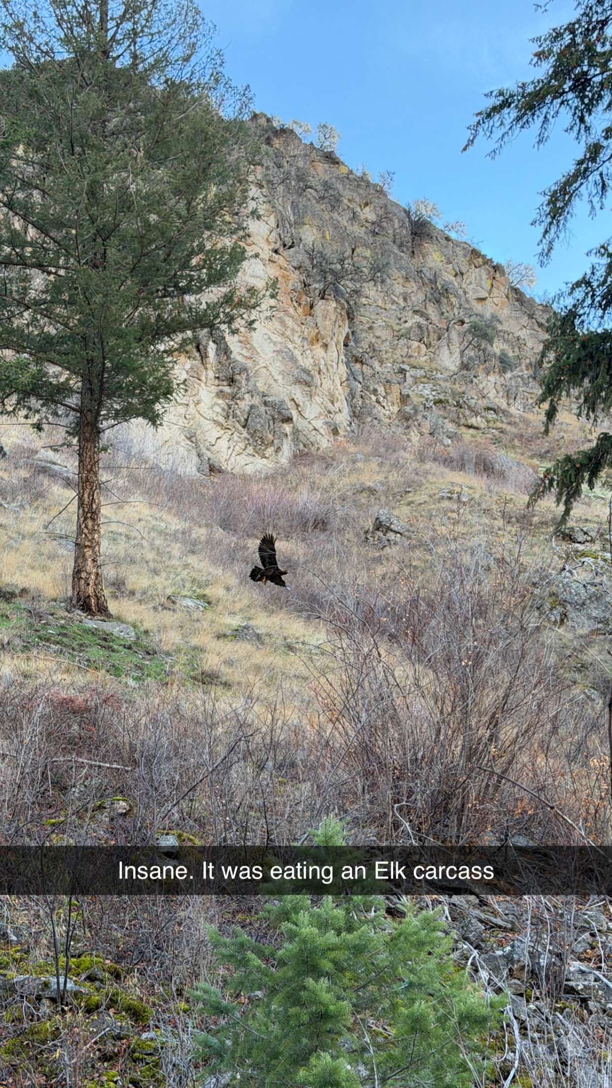 realhaylujan snapchat image archive image