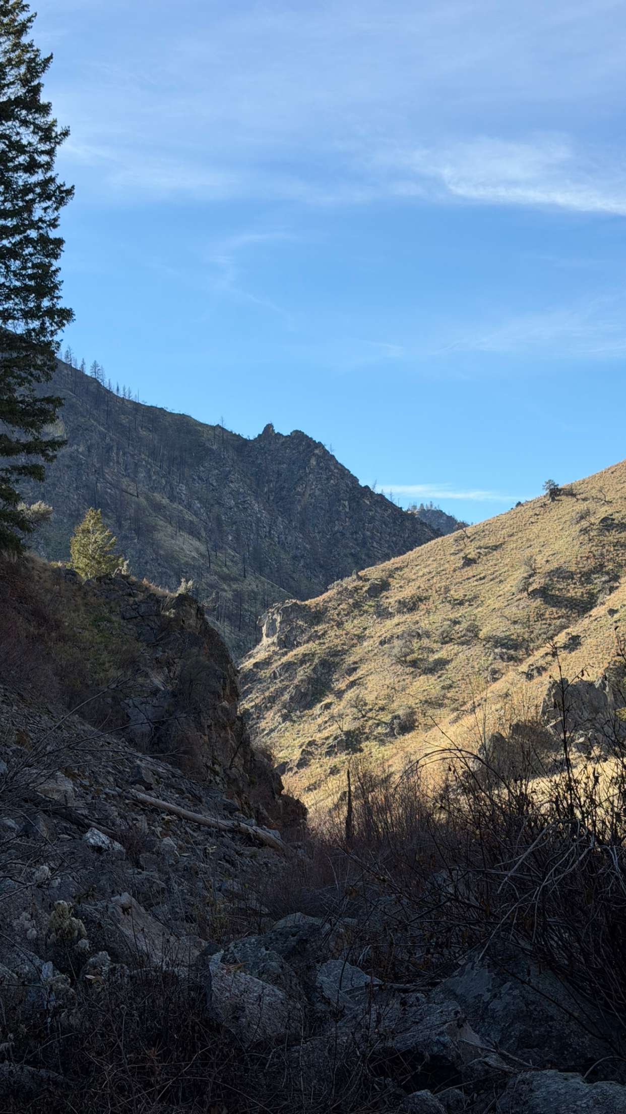 realhaylujan snapchat image archive image