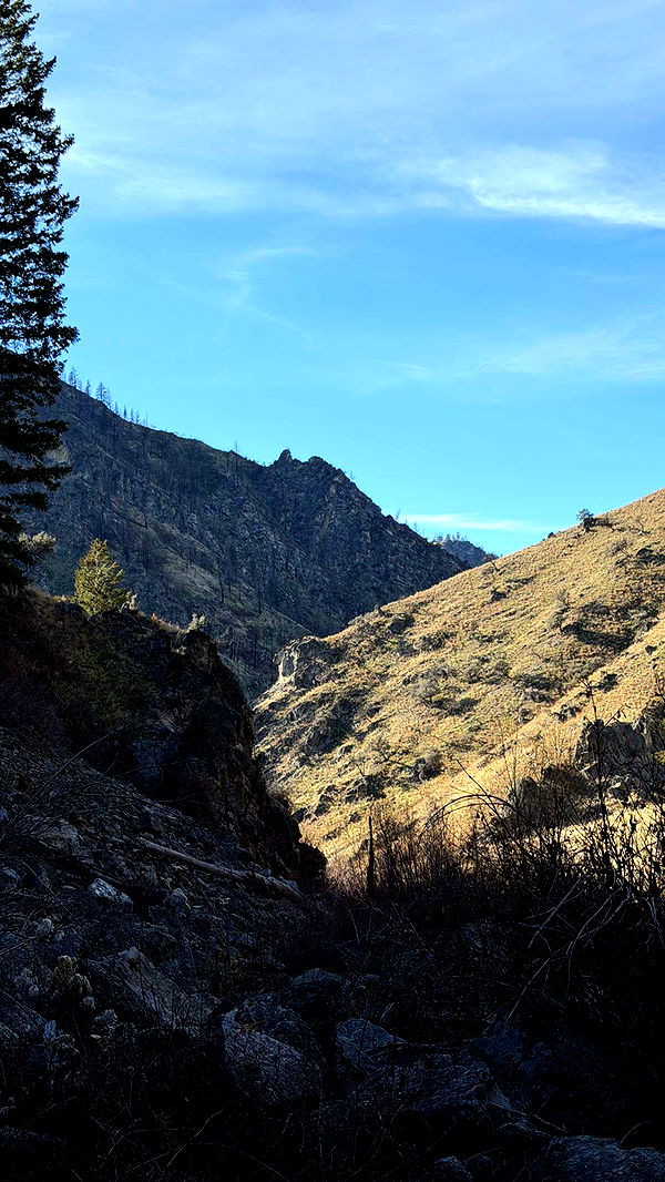 realhaylujan image ~ Altpins