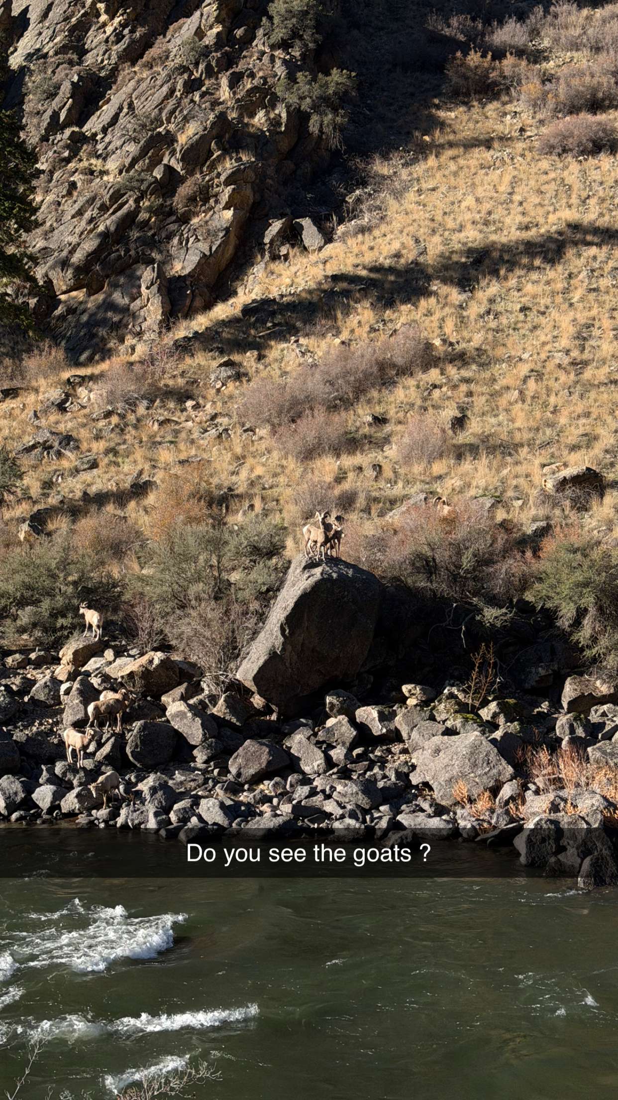 realhaylujan snapchat image archive image