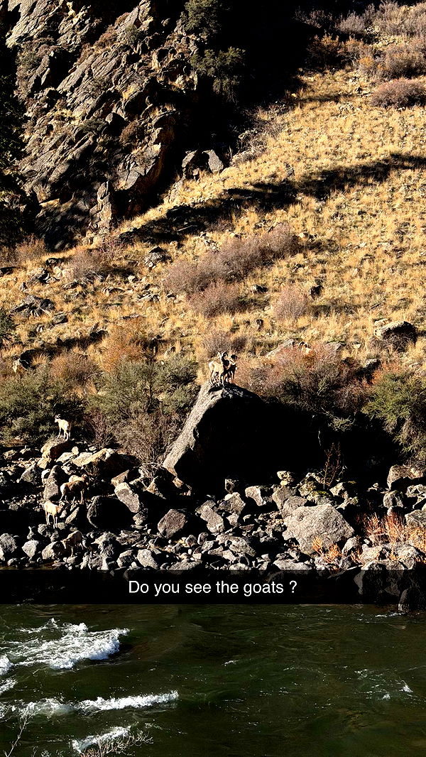 realhaylujan image ~ Altpins