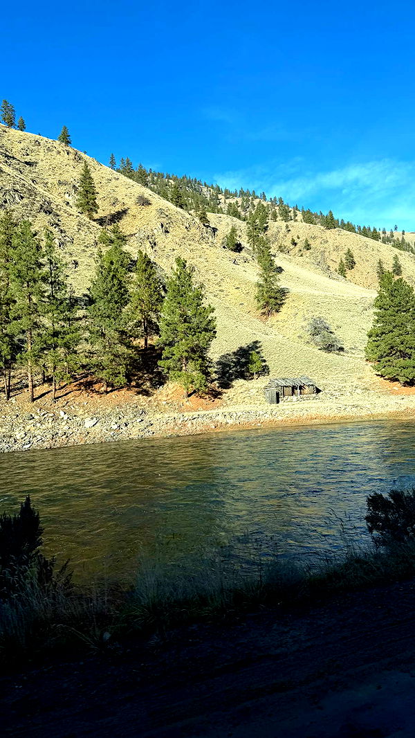 realhaylujan image ~ Altpins