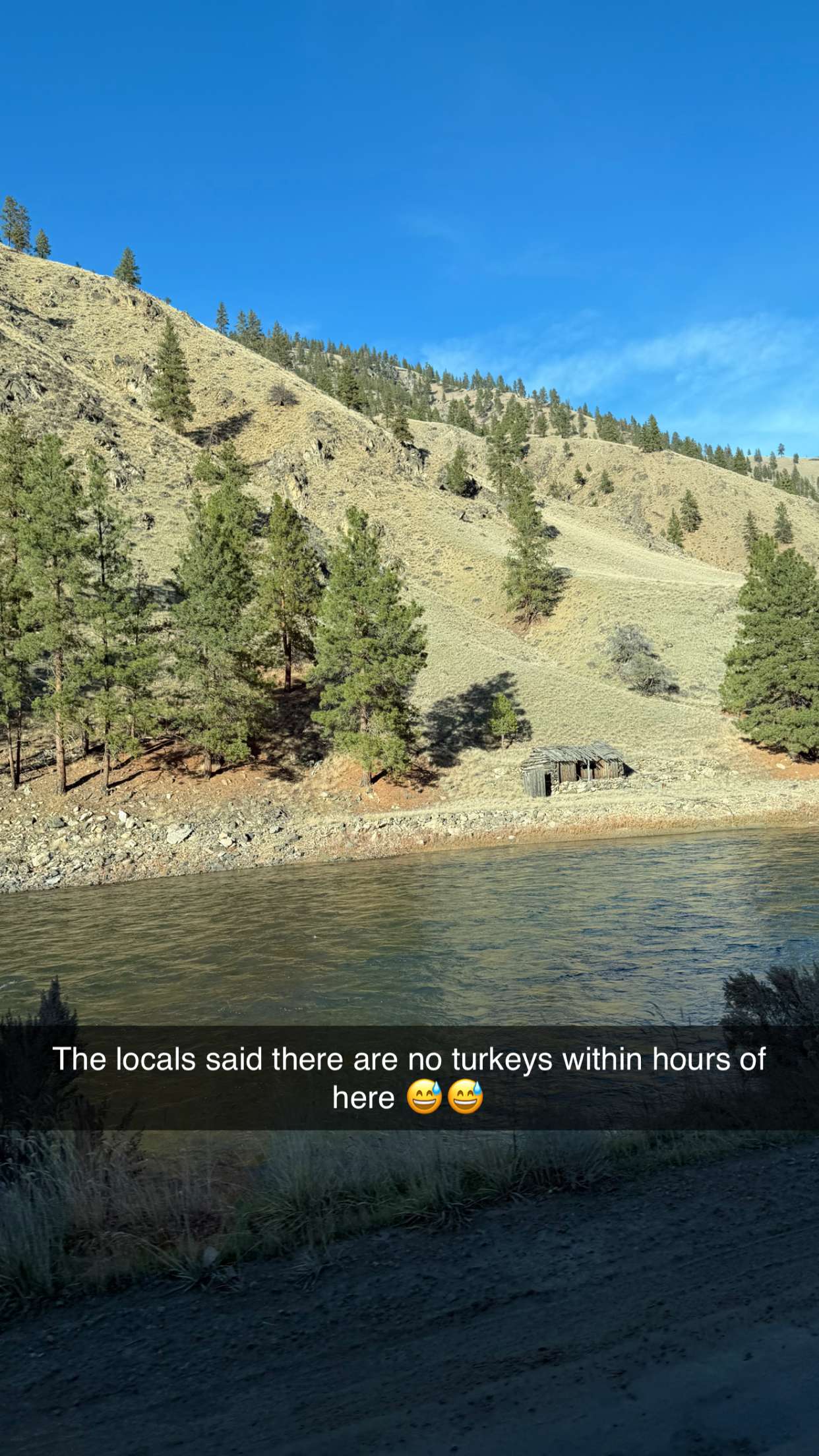 realhaylujan snapchat image archive image