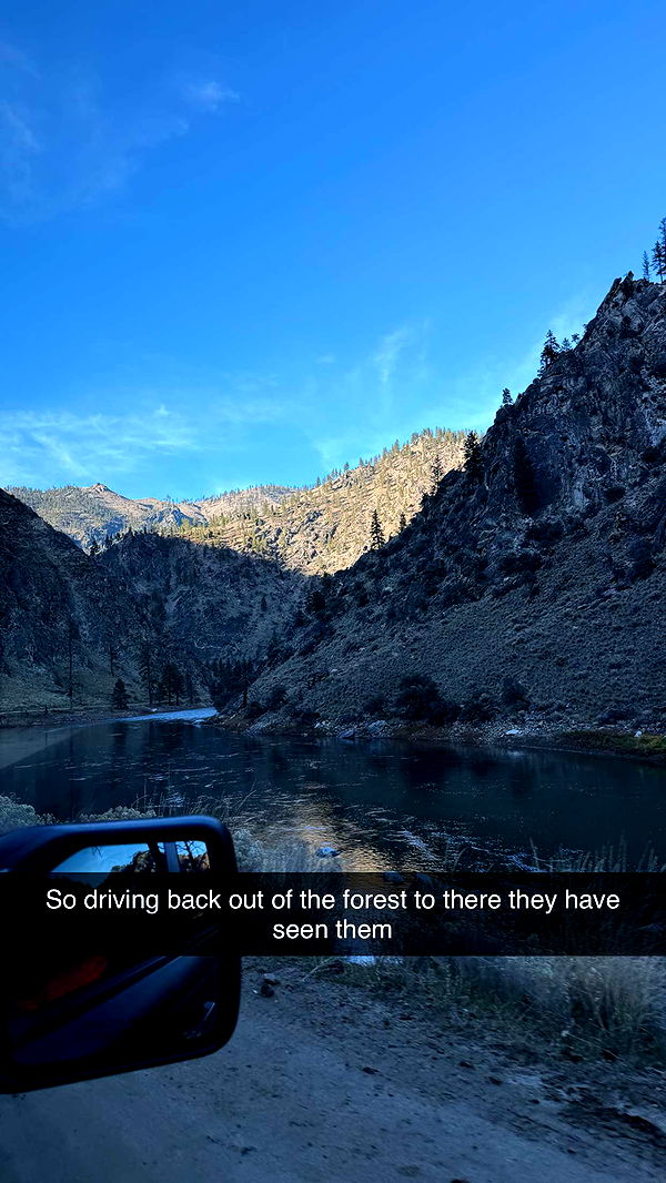 realhaylujan image ~ Altpins