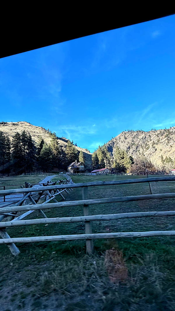 realhaylujan image ~ Altpins