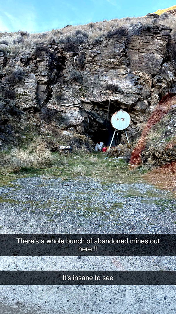 realhaylujan image ~ Altpins