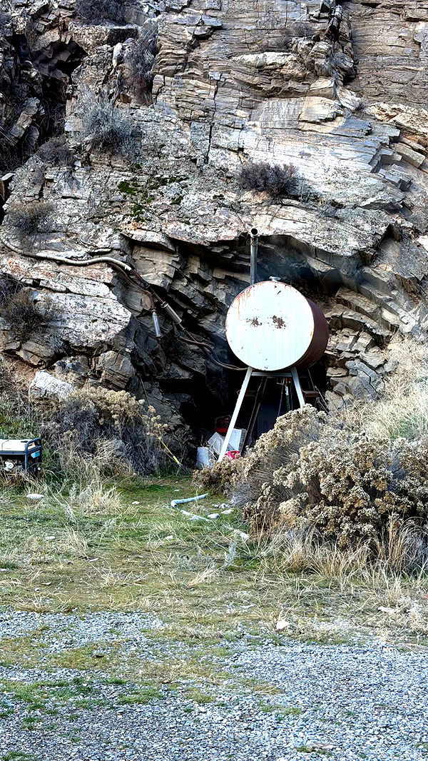 realhaylujan image ~ Altpins