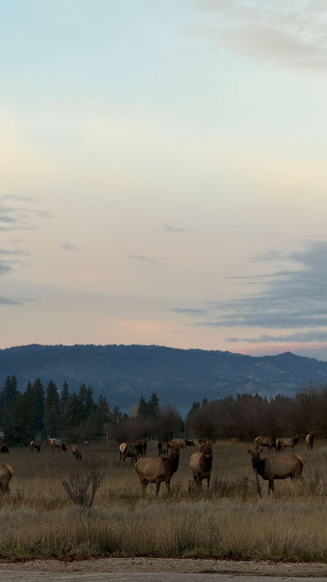 realhaylujan snapchat image archive image