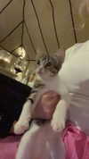 rileyblack2 Altpins Profile Picture