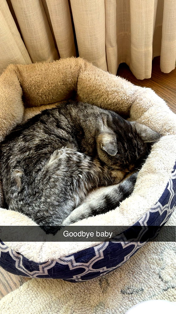 rileyblack2 snapchat image archive image