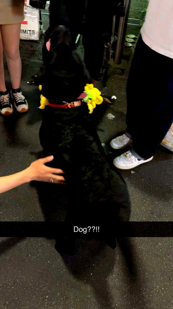 rileyblack2 snapchat image archive image