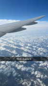 rileyblack2 Altpins Profile Picture