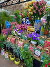 rileyblack2 Altpins Profile Picture