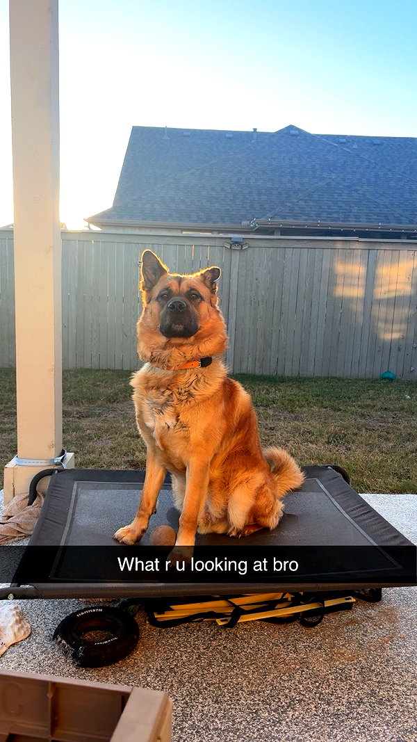 rileyblack2 snapchat image archive image