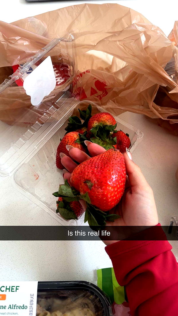 rileysaurage snapchat image archive image