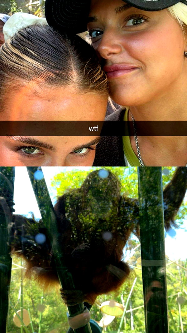 rileysaurage snapchat image archive image